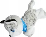 chi-chi-love-happy-husky-plec-chlopcy-dziewczynki