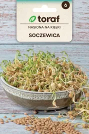 nasiona-na-kielki-soczewica-duzo-witaminy-c