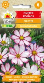 onetek-kosmos-picotee-dlugo-kwitnie-05g