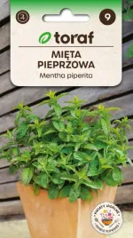 mieta-pieprzowa-wieloletnia-ziolo-przyprawa-01g