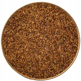 morwa-biala-owoc-grys-100g-suszona-owoce-morwy-bialej-herbata-naturalna