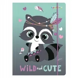 paczka-teczka-a4-z-gumka-racoon-10-szt