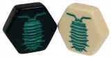 gra-roj-stonoga-dodatek-wiek-gracza-8-11-lat-12-14-lat-15-18-lat-18