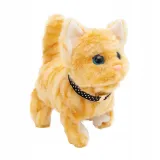 twoj-pupilek-kotek-brazowy-plec-chlopcy-dziewczynki