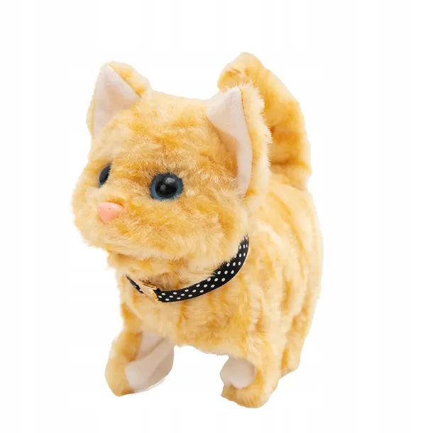 twoj-pupilek-kotek-brazowy-marka-askato