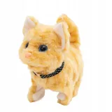 twoj-pupilek-kotek-brazowy-marka-askato