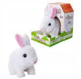 krolik-interaktywny-bialy