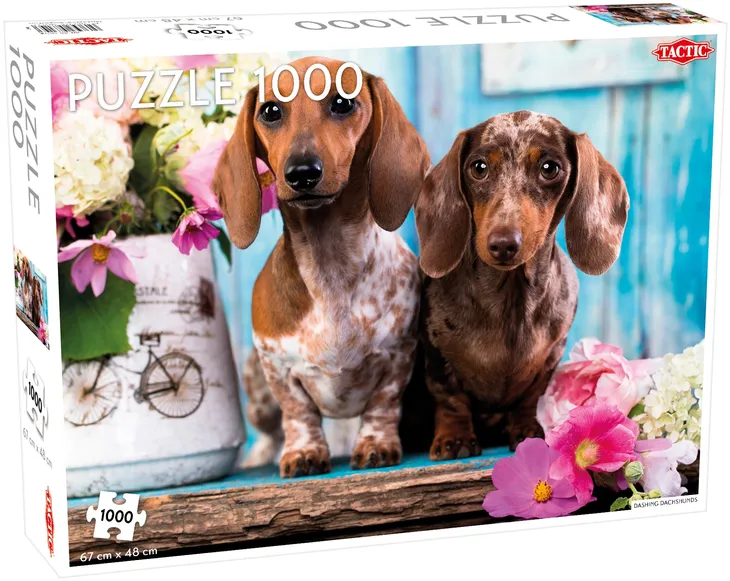 puzzle-1000-dashing-dachshunds-kod-producenta-6416739583143