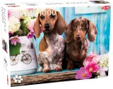 puzzle-1000-dashing-dachshunds-kod-producenta-6416739583143