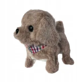 twoj-pupilek-piesek-bezowy-z-chustka