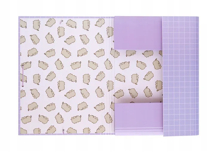 teczka-a4-pusheen-csg0137-bohater-pusheen