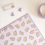 teczka-a4-pusheen-csg0137-plec-dziewczynki
