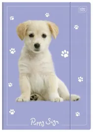 teczka-a4-na-gumke-puppy-dla-dziewczynki-interdruk