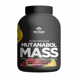 firesnake-deli-whey-mass-gainer-3000g-bialko-20percent-waxy-maize-wpc-wpi-tru-ban