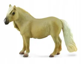 klacz-falabella-mare-palomino