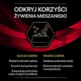 pro-plan-karma-sucha-mix-smakow-15-kg-kod-producenta-7613035159822