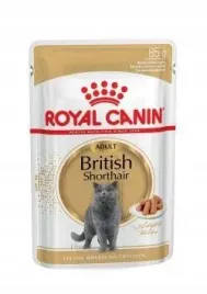 royal-canin-british-shorthair-pakiet-12x85g