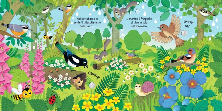 bird-sounds-taplin-sam-wydawnictwo-usborne