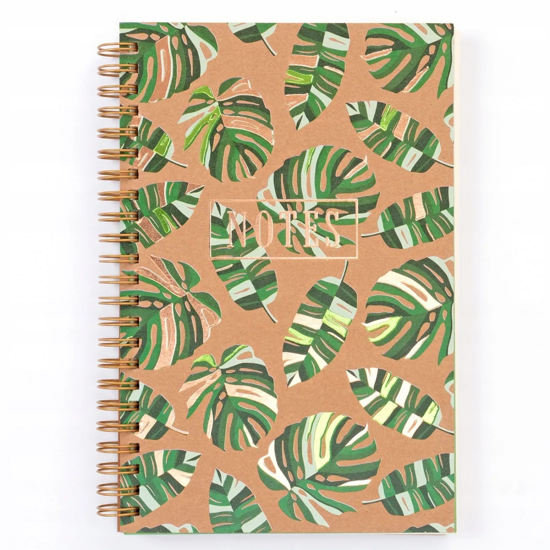 notes-jungle-i-ju01