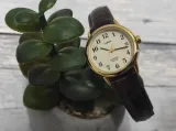 zegarek-timex-t20071-easy-reader-indiglo-damski-stan-nowy