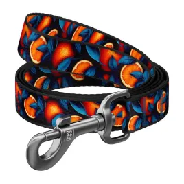 smycz-dla-psa-nylonowa-wzor-pomarancze-dl-122-cm-waudog
