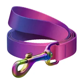 smycz-dla-psa-nylonowa-waudog-gradient-szer-20mm-dl-122cm-fioletowa