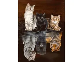 haft-diamentowy-obraz-mozaika-diamentowa-trzy-koty-30x40cm
