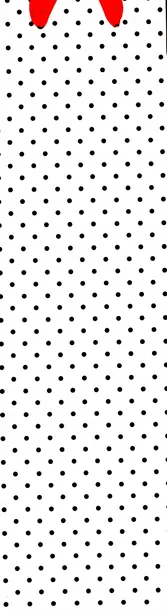 torebka-prezentowa-b-kod-producenta-660cf0dc38349