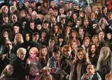 puzzle-1000-challenge-harry-potter-ravensburger-kod-producenta-120004578
