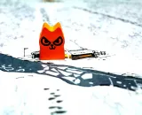 root-portal-nazwa-root-edycja-polska