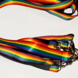 smycz-dluga-tecza-lgbt-stan-nowy