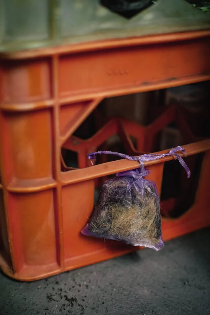 kunagone-na-myszy-10-pak