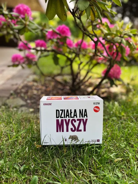 kunagone-na-myszy-10-pak-stan-opakowania-oryginalne