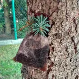 kunagone-na-dziki-10-pak-pojemnosc-opakowania-1-ml