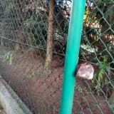 kunagone-na-dziki-10-pak-stan-opakowania-oryginalne