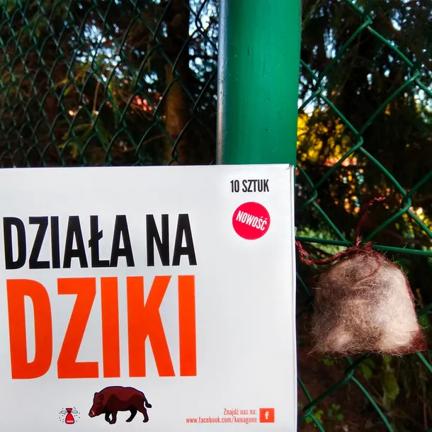 kunagone-na-dziki-10-pak-produkt-wprowadzony-do-obrotu-na-terenie-ue-przed-13-12-2024-tak