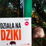 kunagone-na-dziki-10-pak-produkt-wprowadzony-do-obrotu-na-terenie-ue-przed-13-12-2024-tak