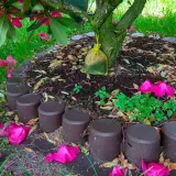 kunagone-na-koty-2-pak-marka-inna