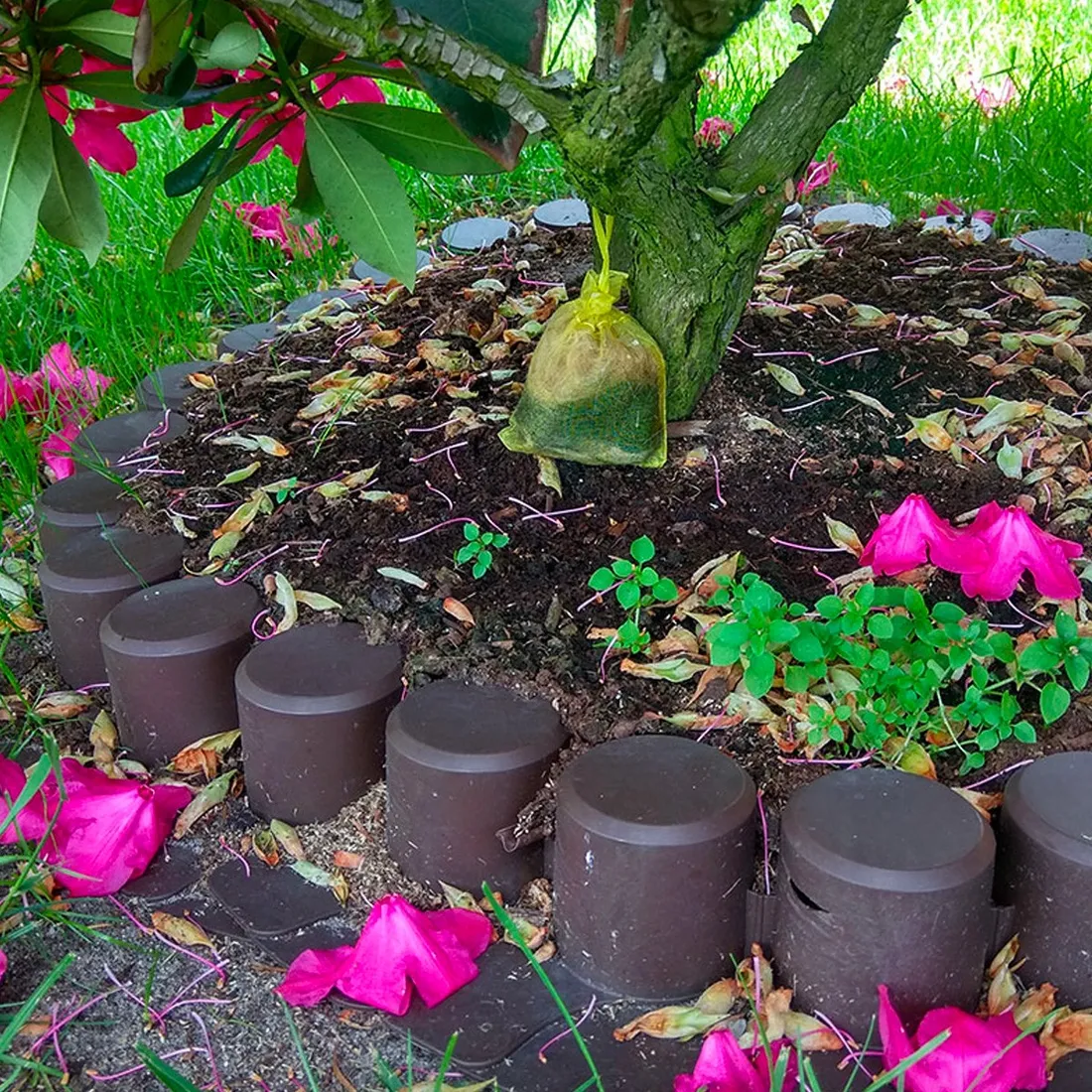 kunagone-na-koty-2-pak-marka-inna