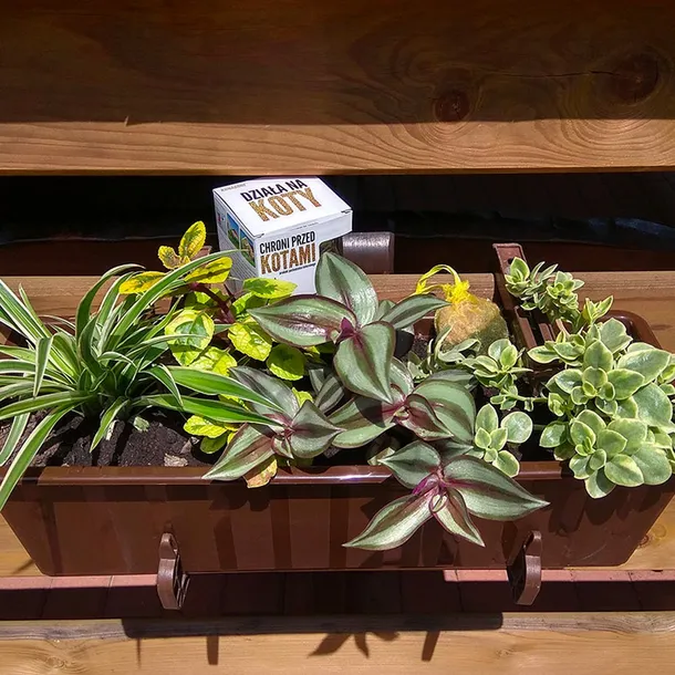 kunagone-na-koty-2-pak-rodzaj-inny-rodzaj