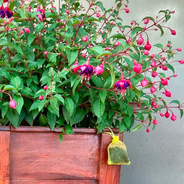 kunagone-na-koty-2-pak-stan-opakowania-oryginalne