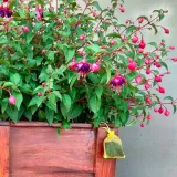 kunagone-na-koty-2-pak-stan-opakowania-oryginalne