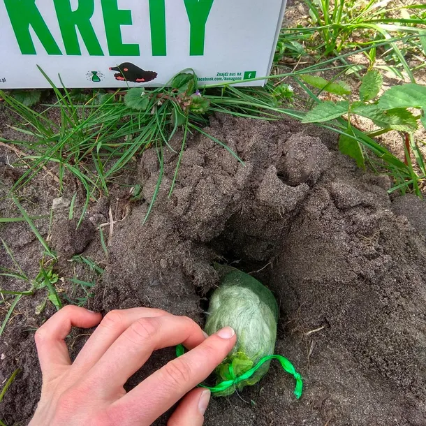 kunagone-na-krety-2-pak-marka-inna