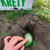 kunagone-na-krety-2-pak-marka-inna