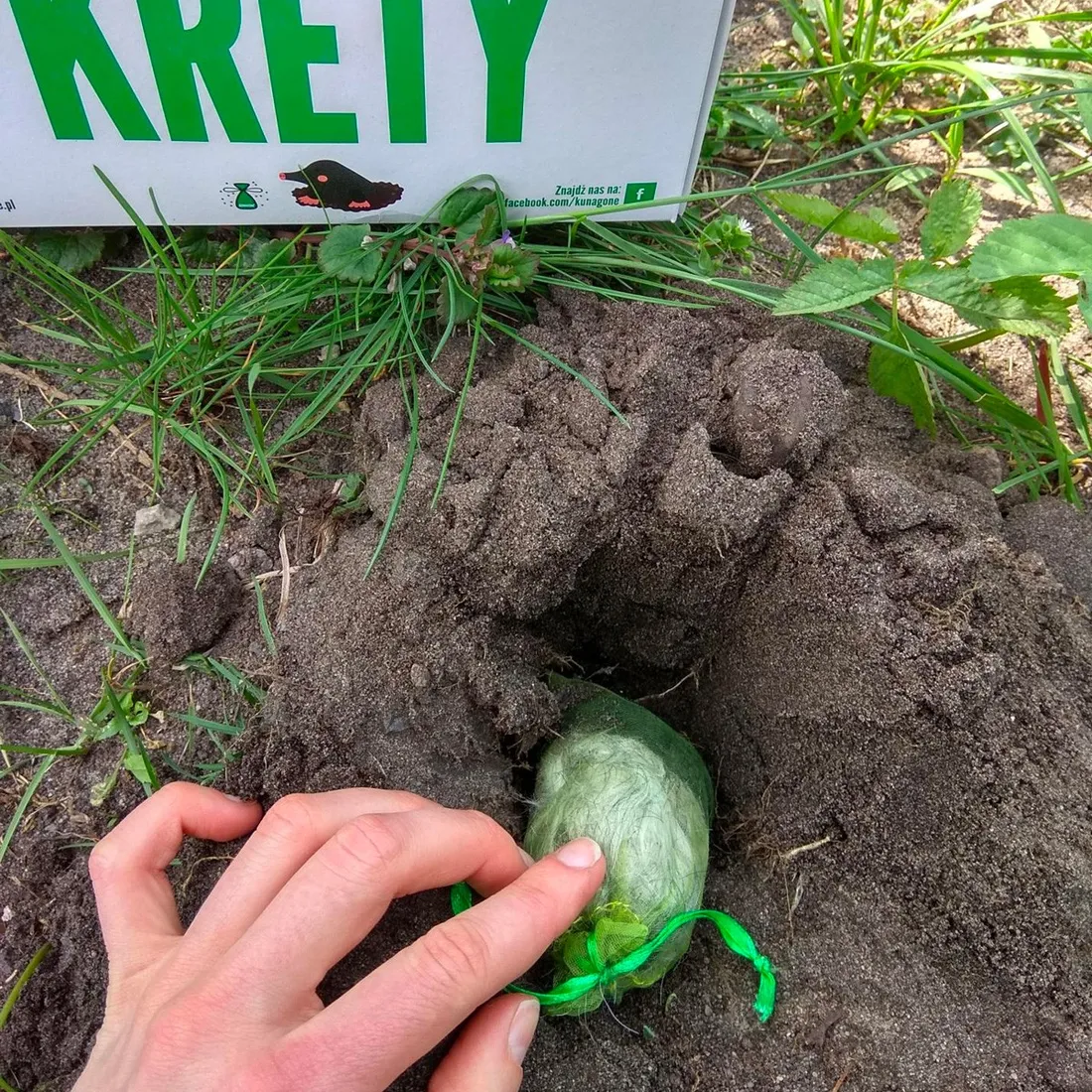 kunagone-na-krety-2-pak