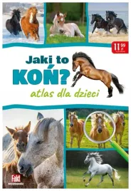 bulki-bagietki-bajgle-domowy-wypiek-fakt-radzi-