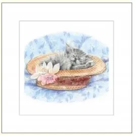 karnet-16x16cm-koperta-kot-rysowany