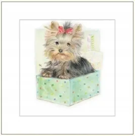 karnet-16x16cm-koperta-pies-rysowany