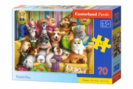 puzzle-70-zabawne-zwierzeta-domowe-b-070176