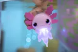 animagic-axolotl-mix-minimalny-wiek-dziecka-18